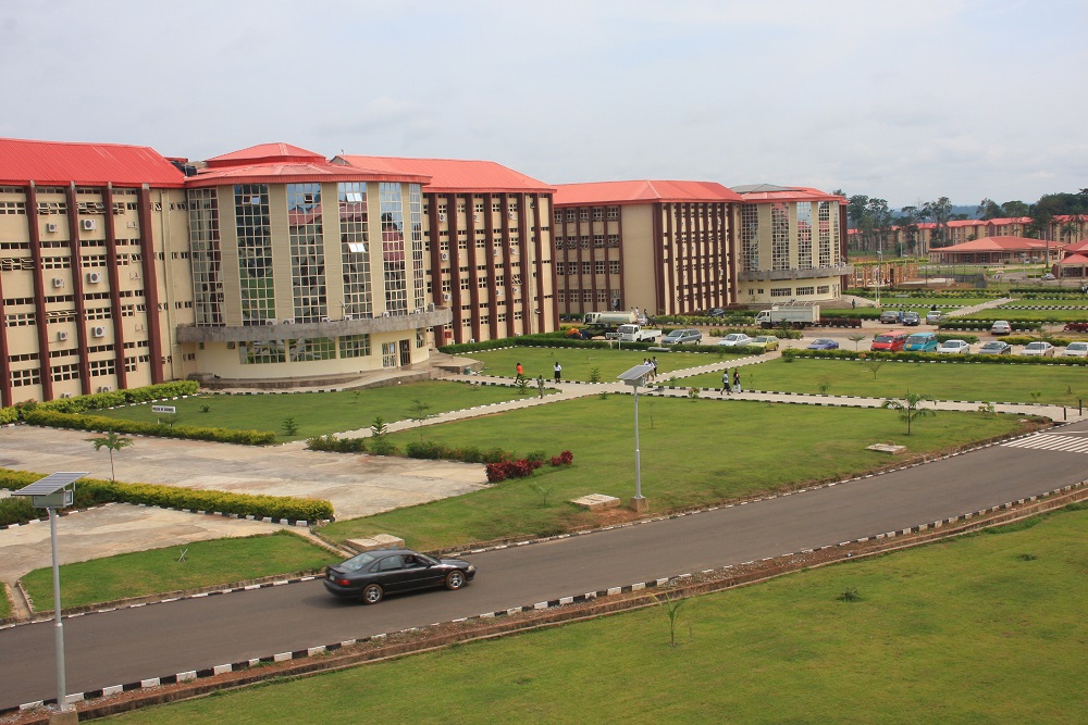 Best Private Universities to Study Law