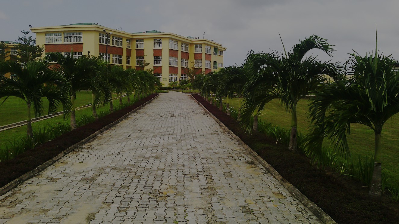 Study Abroad Consultants in Nigerian Schools