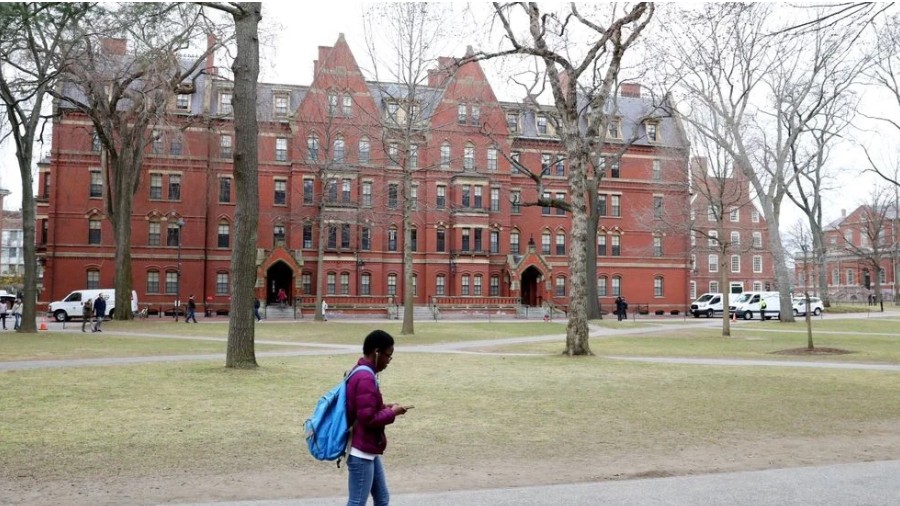 How to get into Harvard from Nigeria