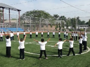 Lebanese Consulate International School Kano