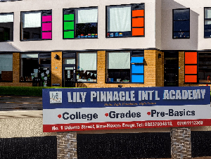 Lily Pinnacle International Academy